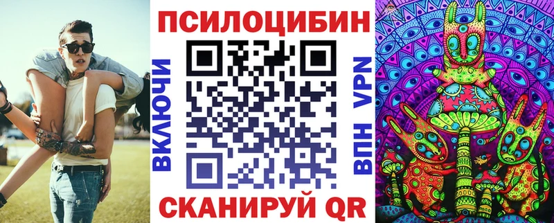 Купить где  Солнечногорск  Псилоцибиновые грибы мицелий 